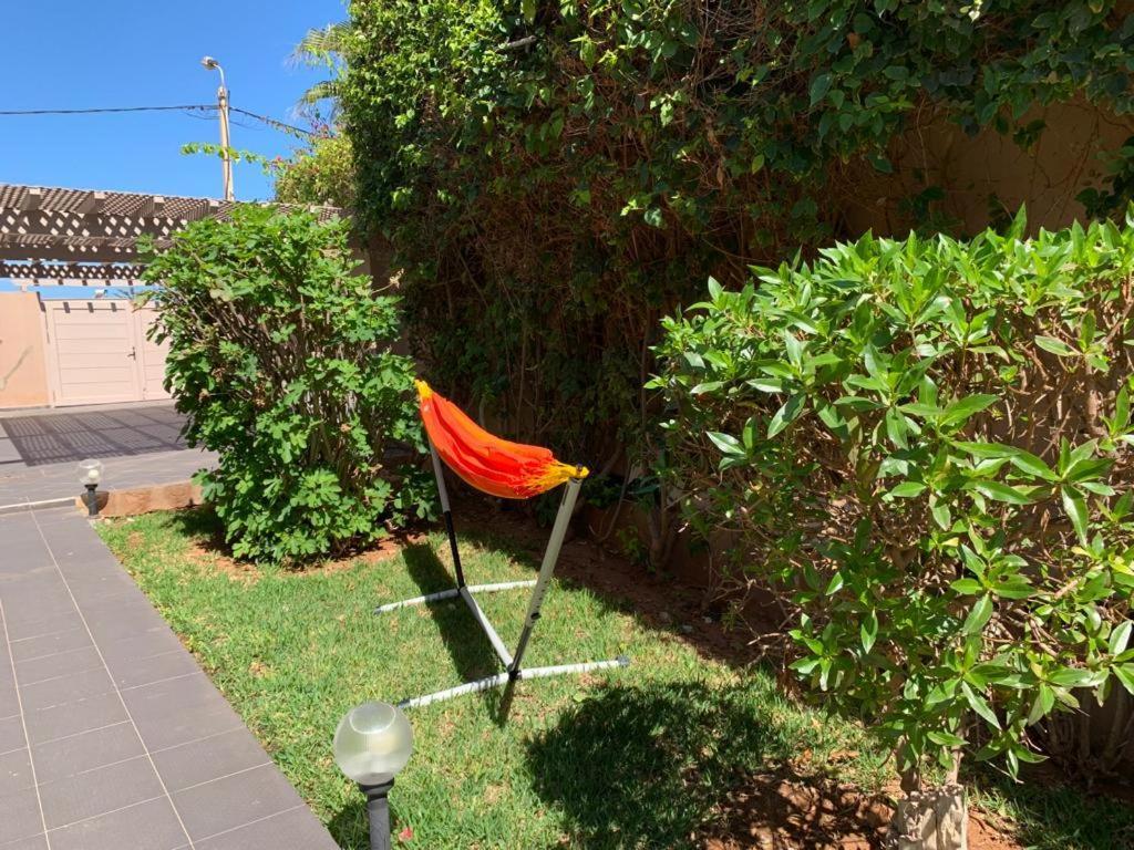 Chalet מירלפט מראה חיצוני תמונה