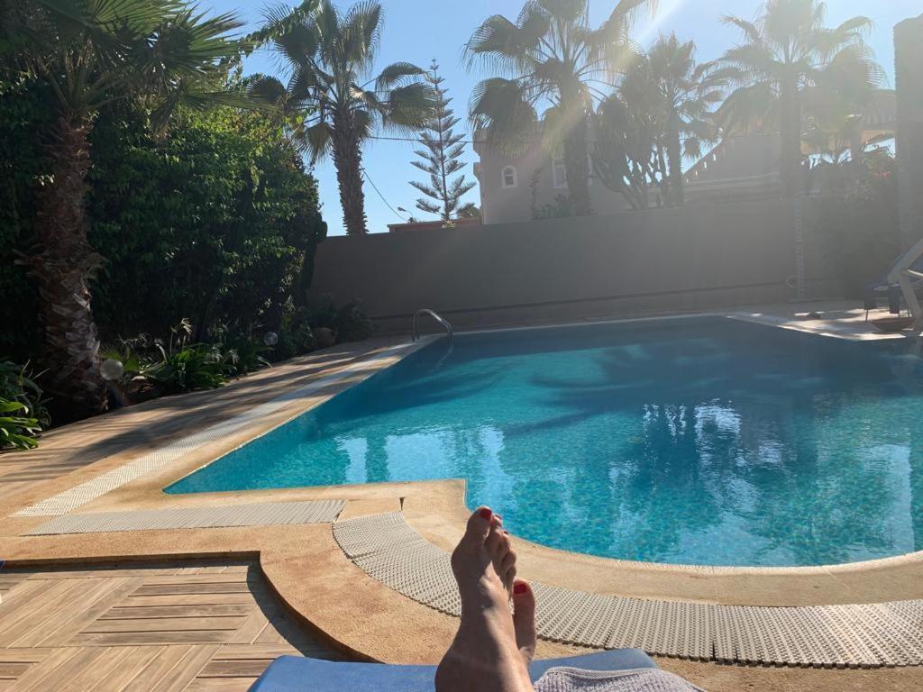 Chalet מירלפט מראה חיצוני תמונה